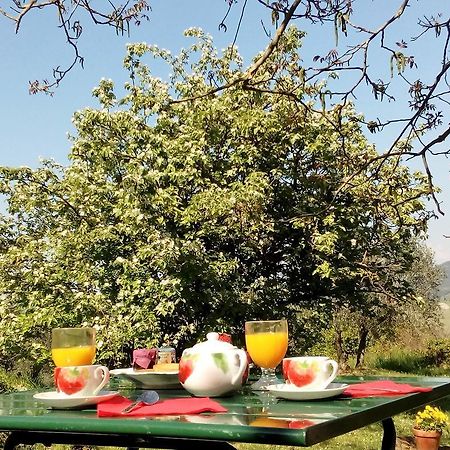 Villa Il Palazzino Volterra Esterno foto