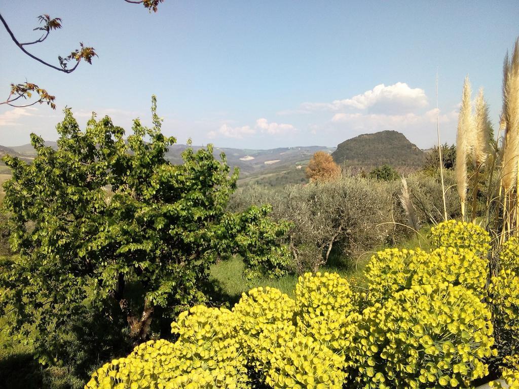 Villa Il Palazzino Volterra Esterno foto